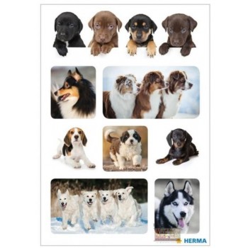 Stickers cagnolini