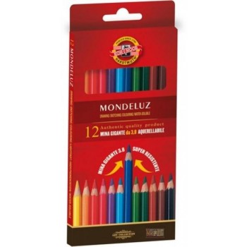 Astuccio matite multicolore...