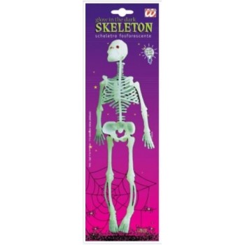 Scheletri fosforescenti 25 cm