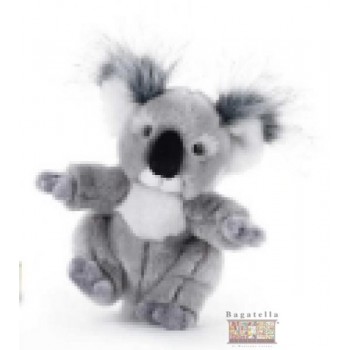 Koala peluche 21 cm