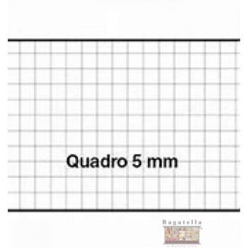 Quaderni 5 mm 80 gr