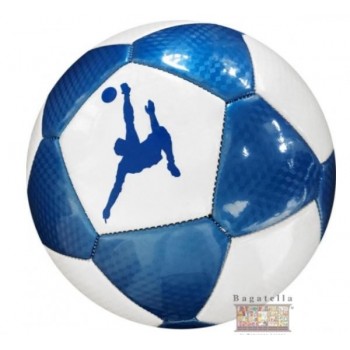 Pallone da calcio