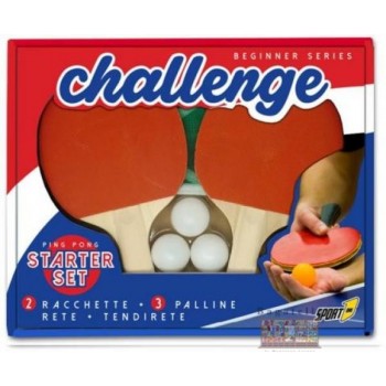 Set ping pong challenge