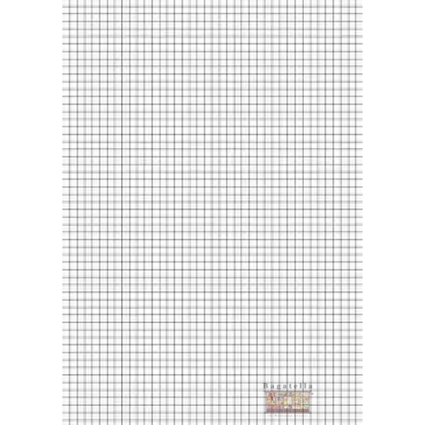 Fogli protocollo 5 mm (Cod. 205085)